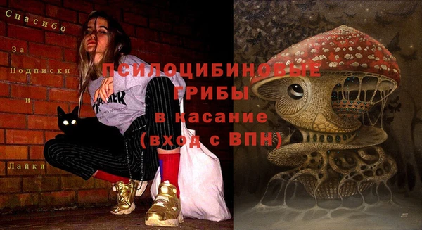 меф Белокуриха