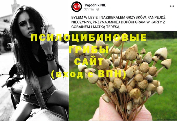 соль ск Белоозёрский