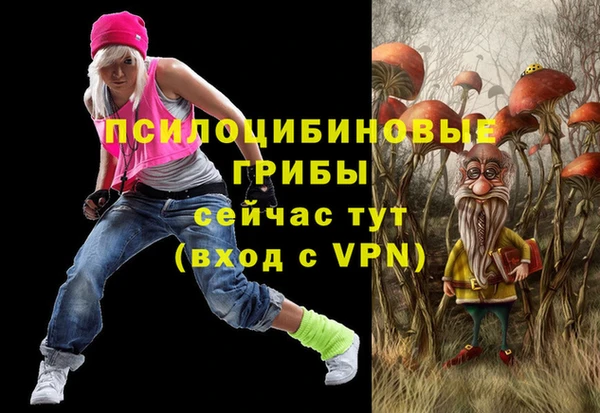 меф Белокуриха