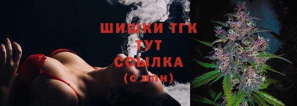 крисы Бронницы