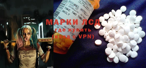 ПСИЛОЦИБИНОВЫЕ ГРИБЫ Бородино