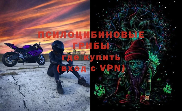 ПСИЛОЦИБИНОВЫЕ ГРИБЫ Бородино